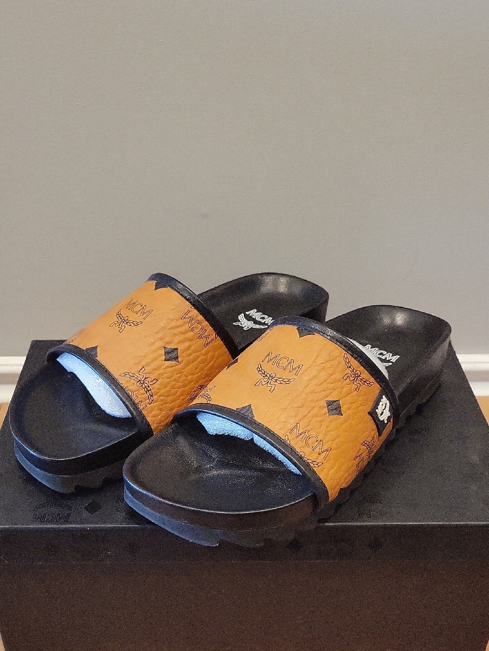 MCM Viestos Slides